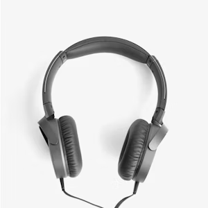 Music Lover Headphones
